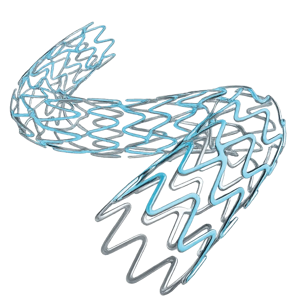 Structural heart and vascular intervention devices